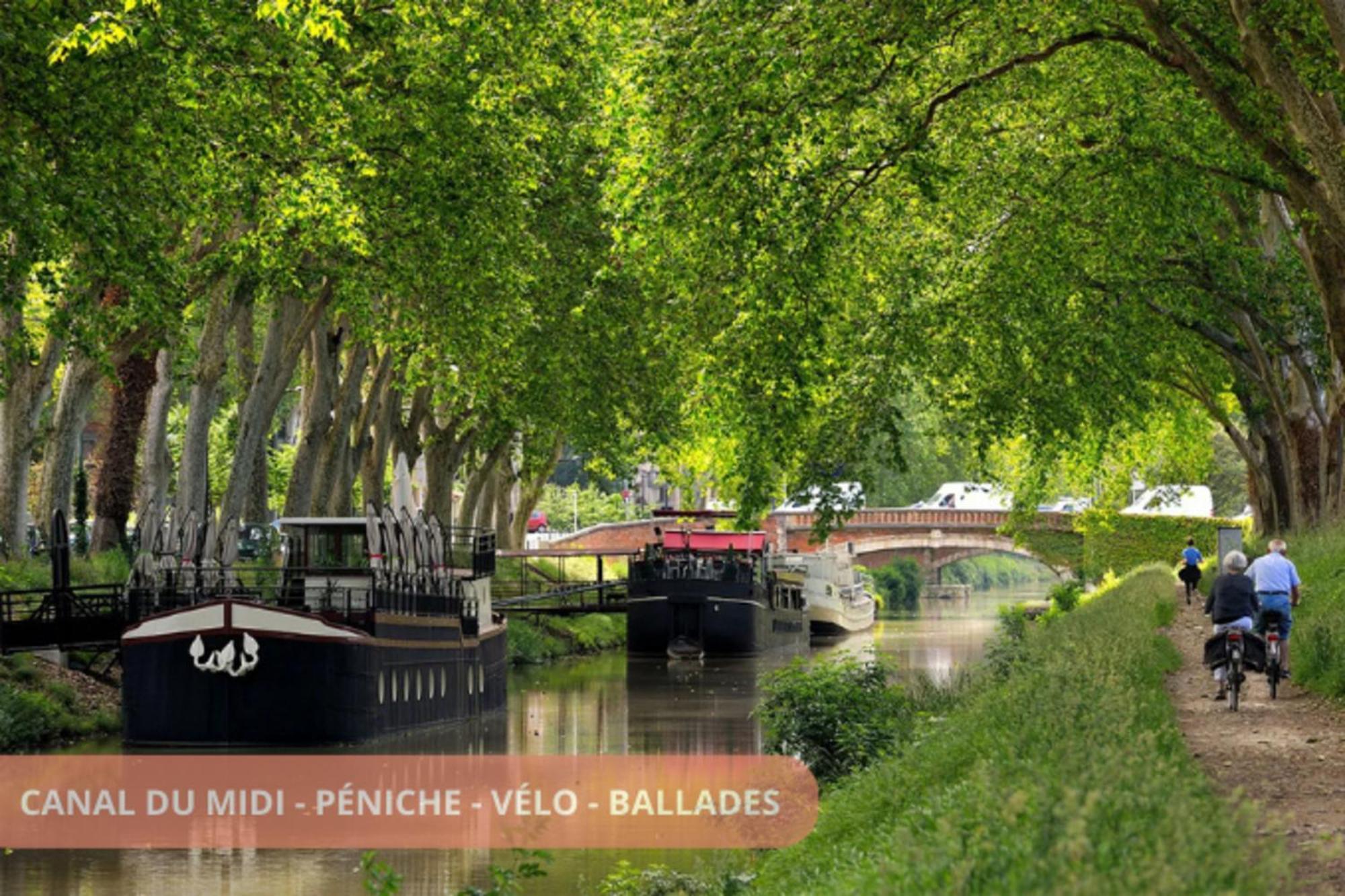 T3 Universites & Hospitals - Havre De Paix Pres Toulouse - Parking - Terrasse ภายนอก รูปภาพ